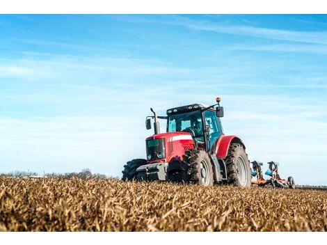 Empresa de Locação de Máquinas em Campo Alegre de Goiás